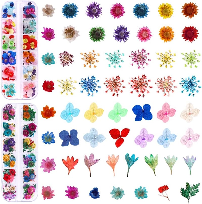 YWLI 216PCS Dried Flowers Nail Art - Nail Art Accessories Kits, 57 Color Lovely Natural Flower Nail Art, Dried Flowers for Resin Molds, Dry Flowers for Nails, - Image 2