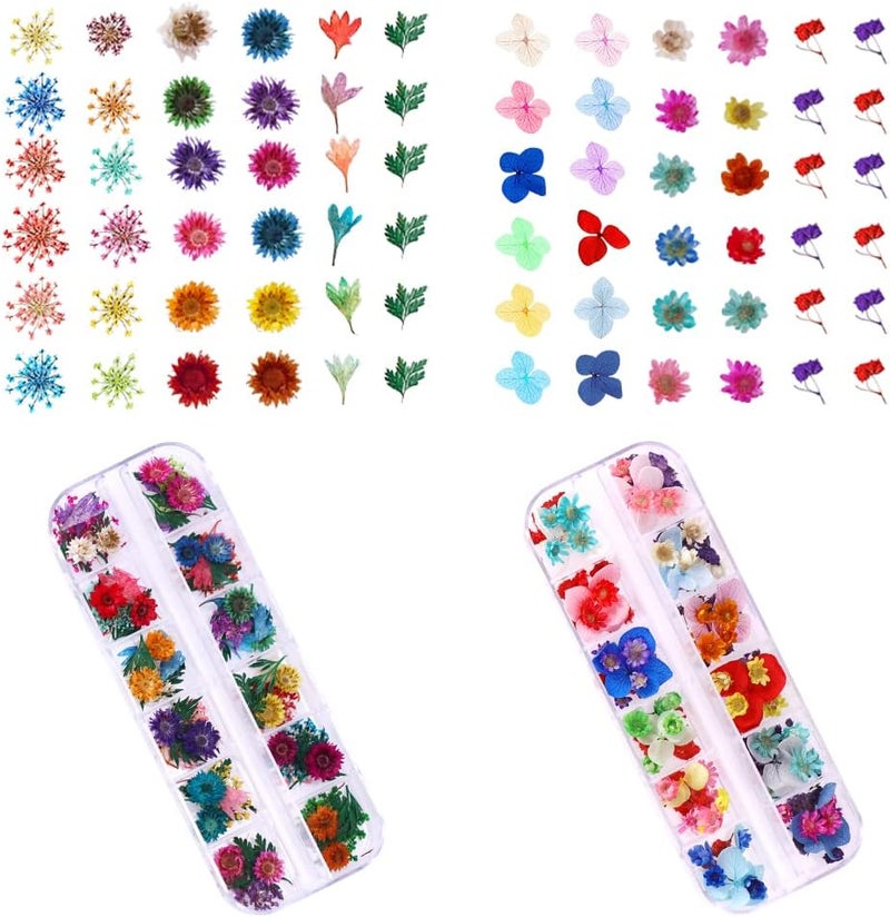 YWLI 216PCS Dried Flowers Nail Art - Nail Art Accessories Kits, 57 Color Lovely Natural Flower Nail Art, Dried Flowers for Resin Molds, Dry Flowers for Nails, - Image 4