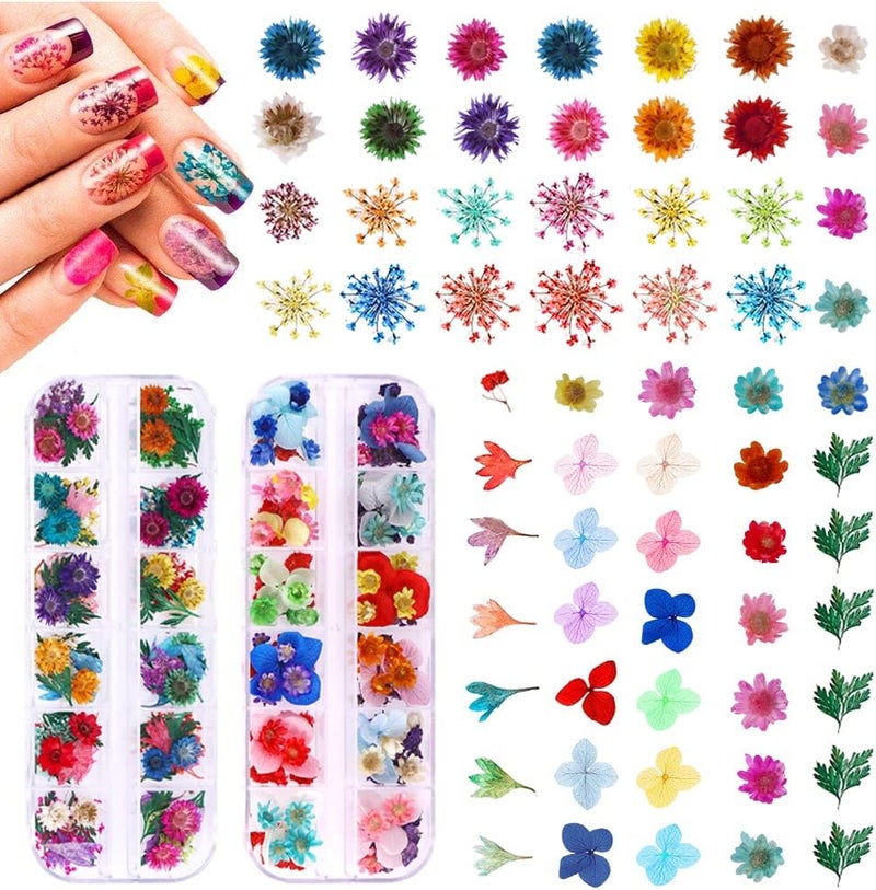 YWLI 216PCS Dried Flowers Nail Art - Nail Art Accessories Kits, 57 Color Lovely Natural Flower Nail Art, Dried Flowers for Resin Molds, Dry Flowers for Nails, - Image 1
