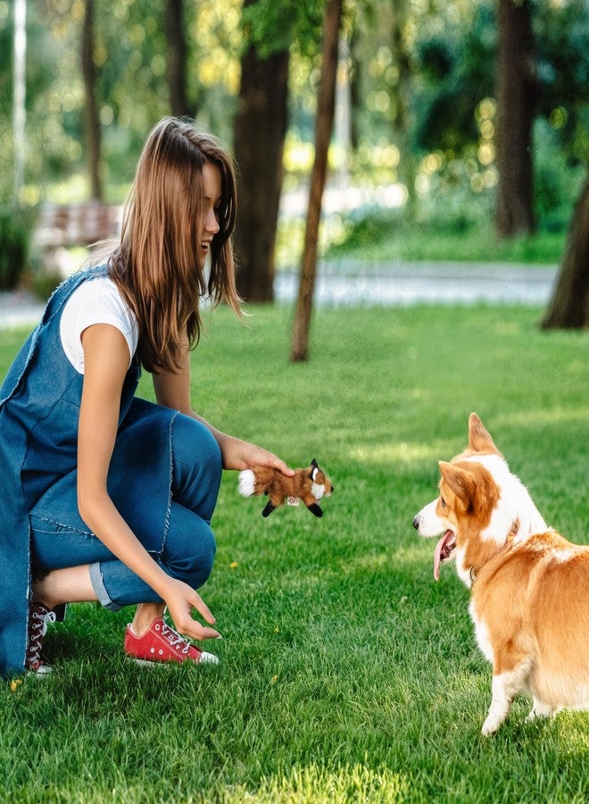 أوول فور بوز لعبة ALL FOR PAWS Squeaky Doy، لعبة على شكل ثعلب للكلاب الصغيرة والمتوسطة والكبيرة، لعبة جلب للجراء مع صفارة، لعبة مضغ قطيفة للكلاب، 10.2 × 7.9 × 4.7 بوصة - مقاس كلاسيكي صغير - Image 5