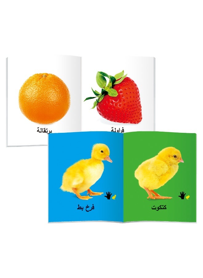 Arabic Language Books for Children 10 Books - General Educational Aids and Encyclopedias for Children, Learning Vocabulary, Recognizing Objects, Paperback, Ten encyclopedic educational books on different types of objects suitable for children aged 4 and above - Image 5