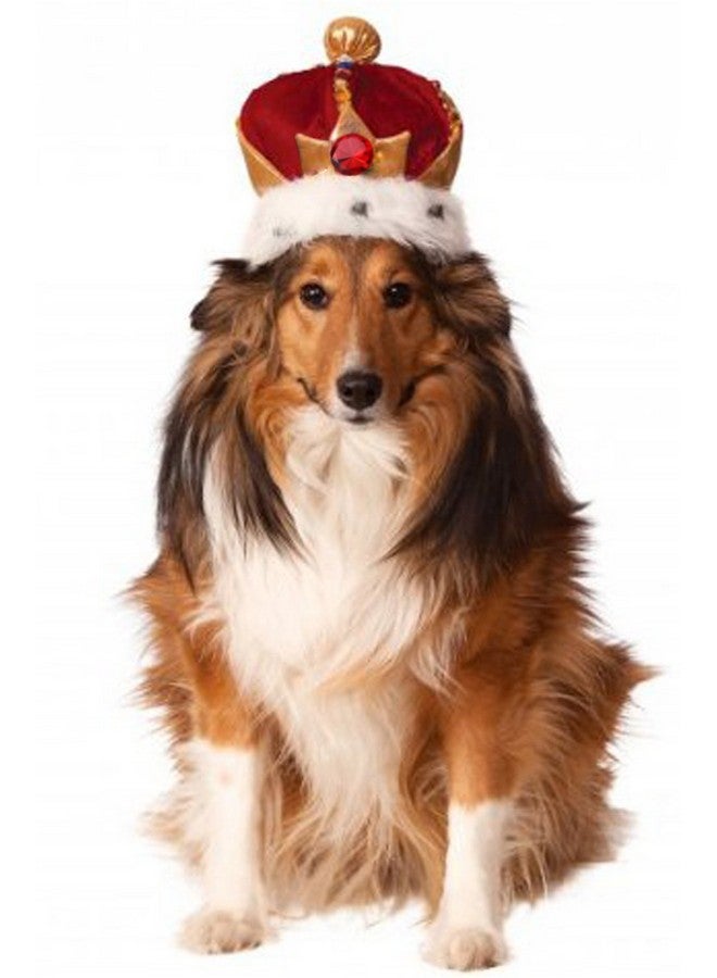 إكسسوار زي تاج الملك للحيوانات الأليفة من روبي، متوسط/كبير