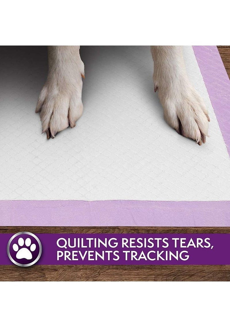 Simple Solution 50Pc All Day 6 Layer Premium Dog And Puppy Training Pads 58X60cm - Image 5
