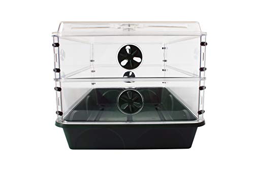 EarlyGrow 93807 Domed Propagator, 2 Height Extenders, Green - Image 5