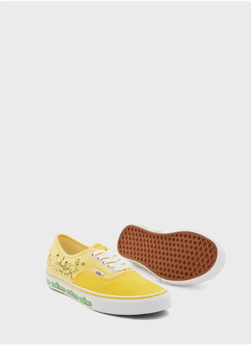 VANS Authentic