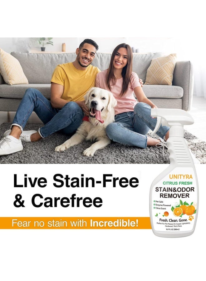 يونيترا بخاخ مزيل روائح الحيوانات الأليفة - مزيل بقع وروائح برائحة الحمضيات للكلاب والقطط | يزيل رائحة البول ورائحة صندوق الفضلات | مزيل بقع وروائح الحيوانات الأليفة لأرضيات المنزل والسجاد والأثاث وأماكن إيواء الحيوانات الأليفة 500 مل - Image 3