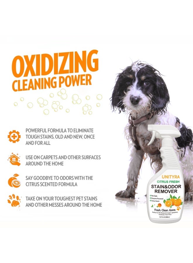 يونيترا بخاخ مزيل روائح الحيوانات الأليفة - مزيل بقع وروائح برائحة الحمضيات للكلاب والقطط | يزيل رائحة البول ورائحة صندوق الفضلات | مزيل بقع وروائح الحيوانات الأليفة لأرضيات المنزل والسجاد والأثاث وأماكن إيواء الحيوانات الأليفة 500 مل - Image 5