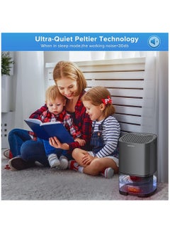 Arabest Dehumidifier for Home,Dehumidifiers for 2500 Cubic Feet Two Working Modes and 7 Colorful LED Lights ,Quiet Portable Mini Dehumidifier,for Basement Bedroom Bathroom Closet  - Image 2