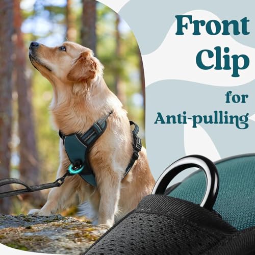 Doggo Bite Premium Reflective Dog Vest Harness| Soft Breathable| Padded Handle| Adjustable Straps & Luxury Buckle | Soft Padded Mesh | No Pull | No-Choke | Chest 27-36inch | All Large Breeds 23-35Kg - Image 5