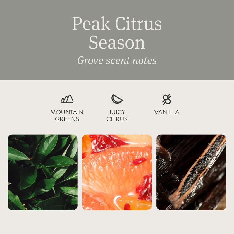 Drift Car Air Freshener - Stone Air Freshener Car Odor Eliminator - Long Lasting Scent - Auto Accessories - Metal Clip - Essential Oils - Clean Ingredients - Grove Scent Starter Kit - Image 3