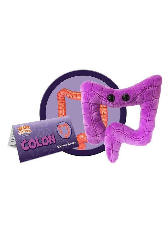 Giant Microbes GIANTmicrobes Colon Plush, Colonoscopy Gift, Funny Colon Gifts, Colorectal Cancer Awareness, Gastroenterologist Gifts, Guts Plush Toy - Image 2