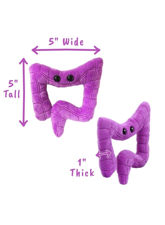 Giant Microbes GIANTmicrobes Colon Plush, Colonoscopy Gift, Funny Colon Gifts, Colorectal Cancer Awareness, Gastroenterologist Gifts, Guts Plush Toy - Image 4