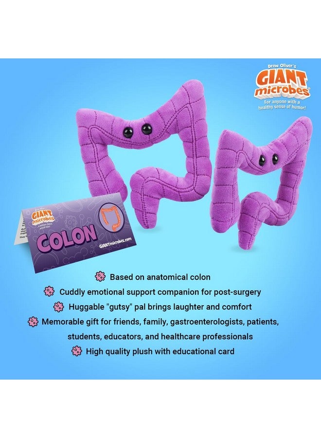 Giant Microbes GIANTmicrobes Colon Plush, Colonoscopy Gift, Funny Colon Gifts, Colorectal Cancer Awareness, Gastroenterologist Gifts, Guts Plush Toy - Image 3
