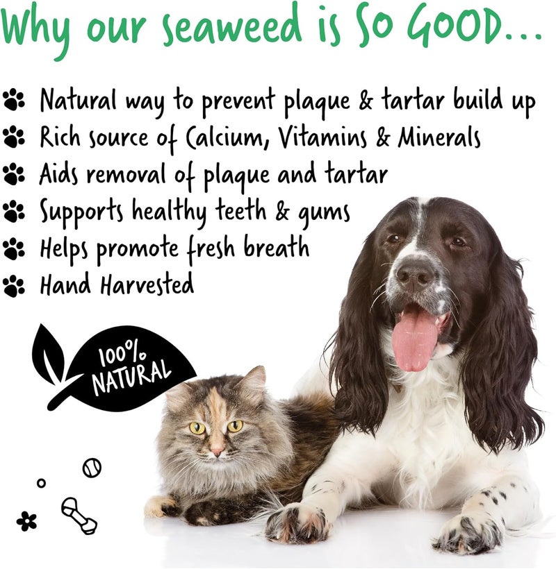 Bugalugs Plaque Remover for Cats & Dogs - 70G - Image 4