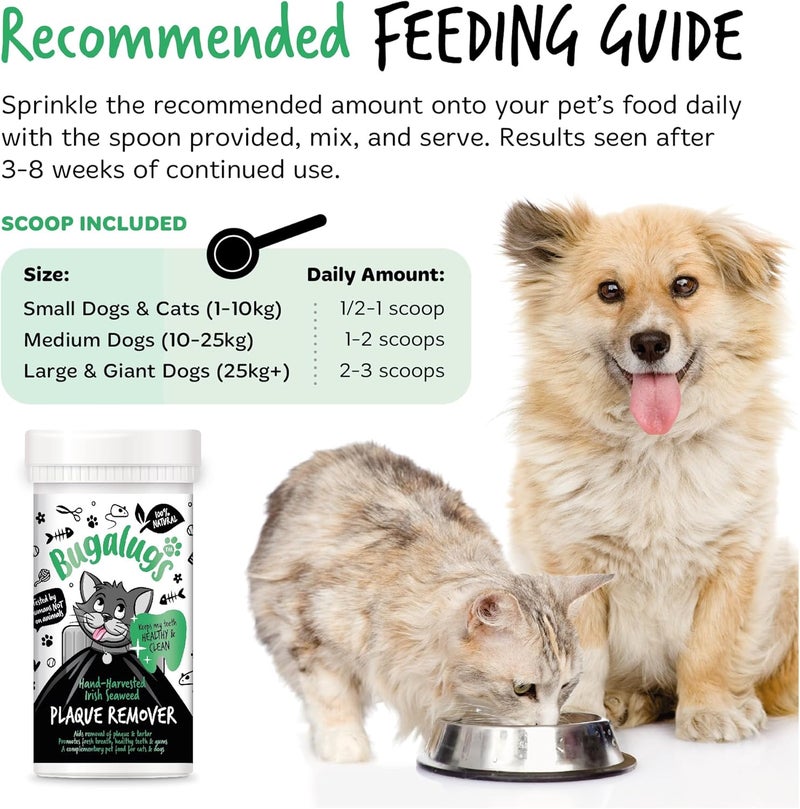 Bugalugs Plaque Remover for Cats & Dogs - 70G - Image 3