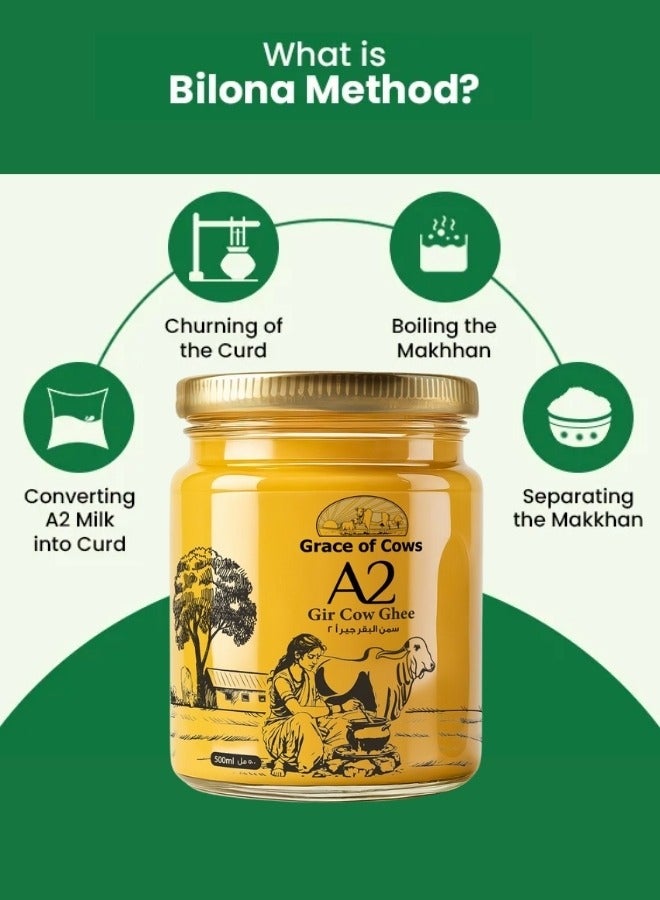 نعمة البقر سمن البقرة A2 جير ٥٠٠ مل (عبوة من قطعتين) - طريقة بيلونا التقليدية | أبقار ديسي تتغذى على العشب وترعى بحرية | عبوة هدايا فاخرة للاحتفالات - Image 4