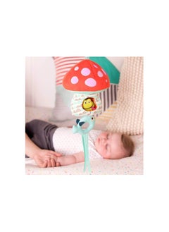 B. Toys B.TOYS TOADSTOOL MUSIC BOX WITH LIGHTS 