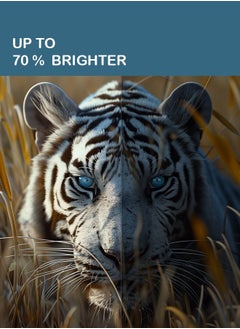 سرين 55 شاشة LED بدون إطار سمارت - 4K سمارت - نظام تشغيل ويب مع وحدة تحكم ماجيك - SRET-55S4KW1  - Image 2