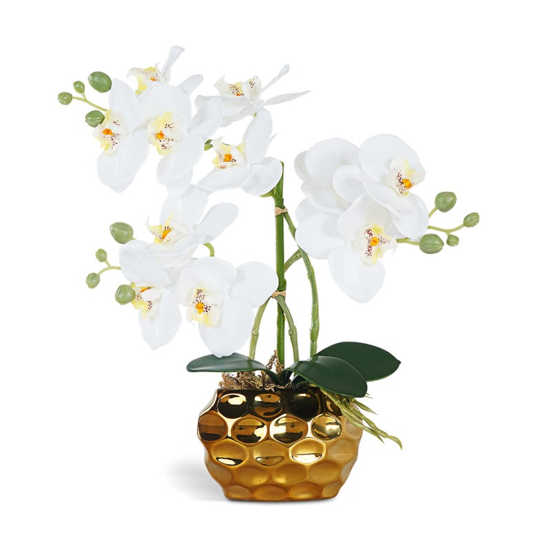 Ziwon Artificial Orchid Flowers  Plants Potted in Ceramic Pot White Faux Phalaenopsis Orchids for Table Centerpiece Realistic Fake Flower Arrangement for Home Office Decor Indoor