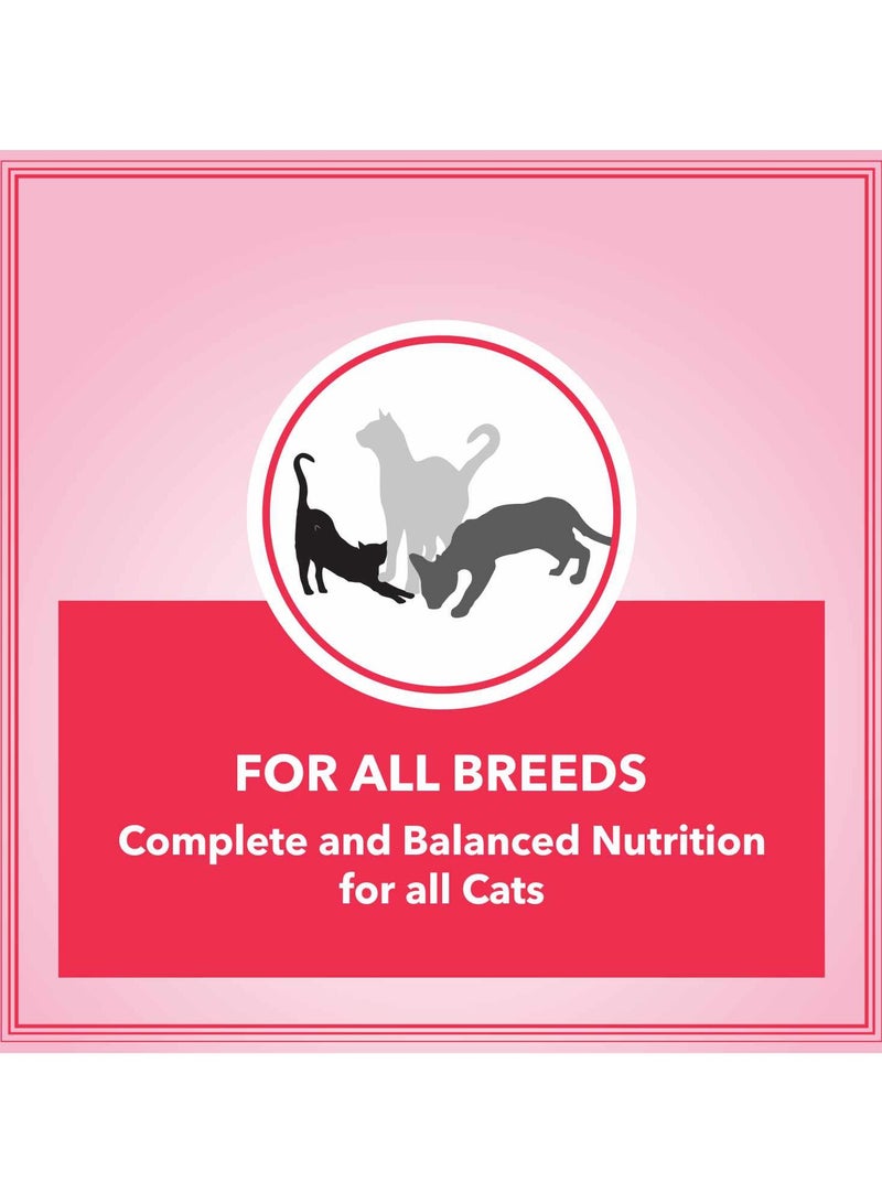 Let's Bite Active Adult Dry Cat Food  Ocean Fish - Image 5