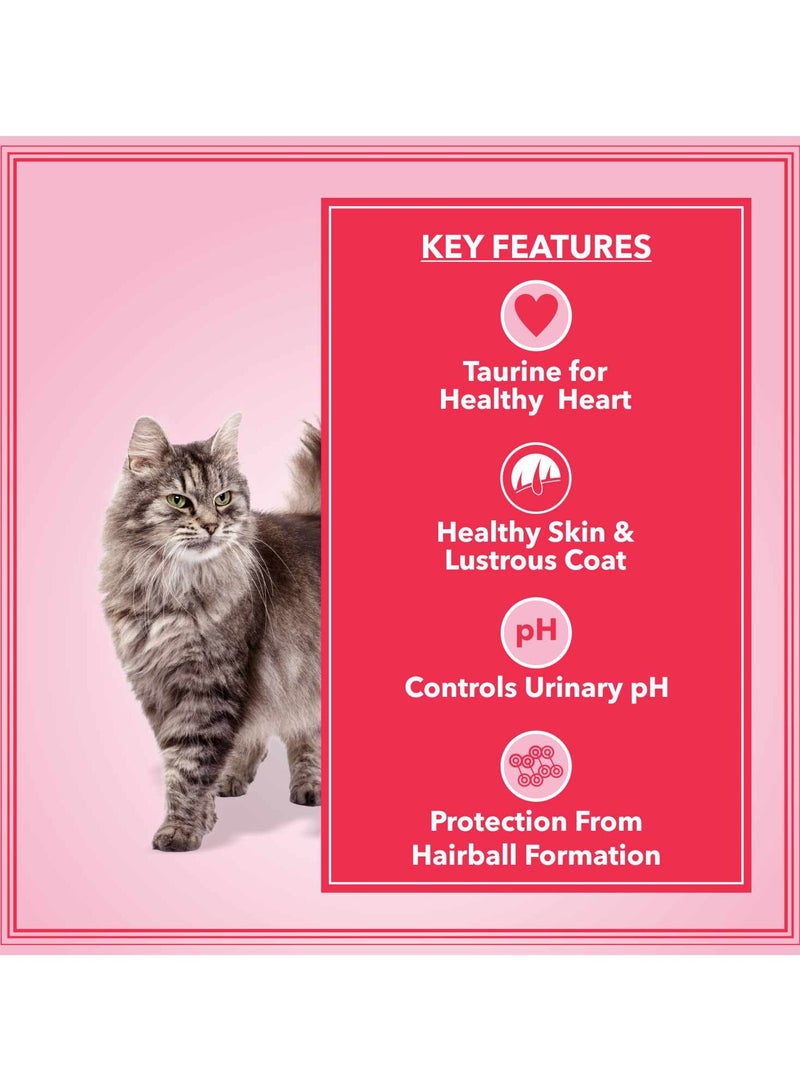 Let's Bite Active Adult Dry Cat Food  Ocean Fish - Image 3