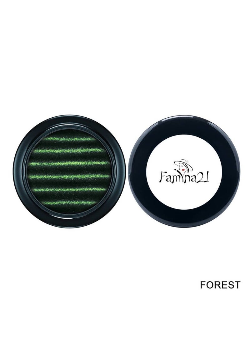 FAMINA21 Famina21 Magnetic Eyeshadow Palette - 11 Colors for Mesmerizing Eye Looks (FOREST) 