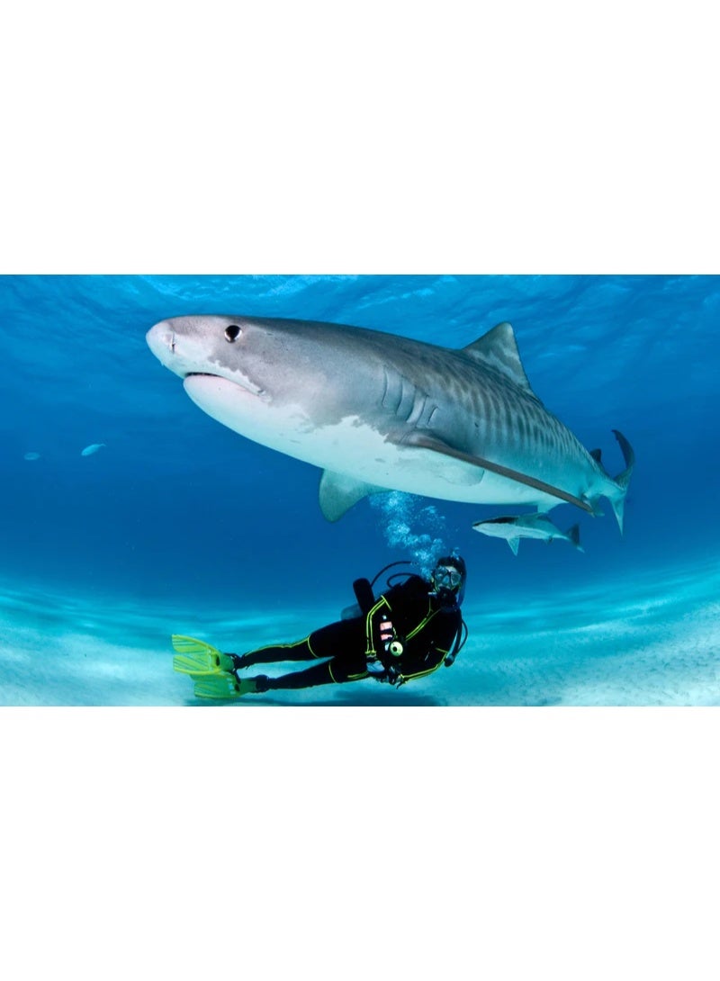 أي كيو آند تي Full Kit for Sports Camera Q3H - Action Camera Pro - Adventure Kit - Image 2