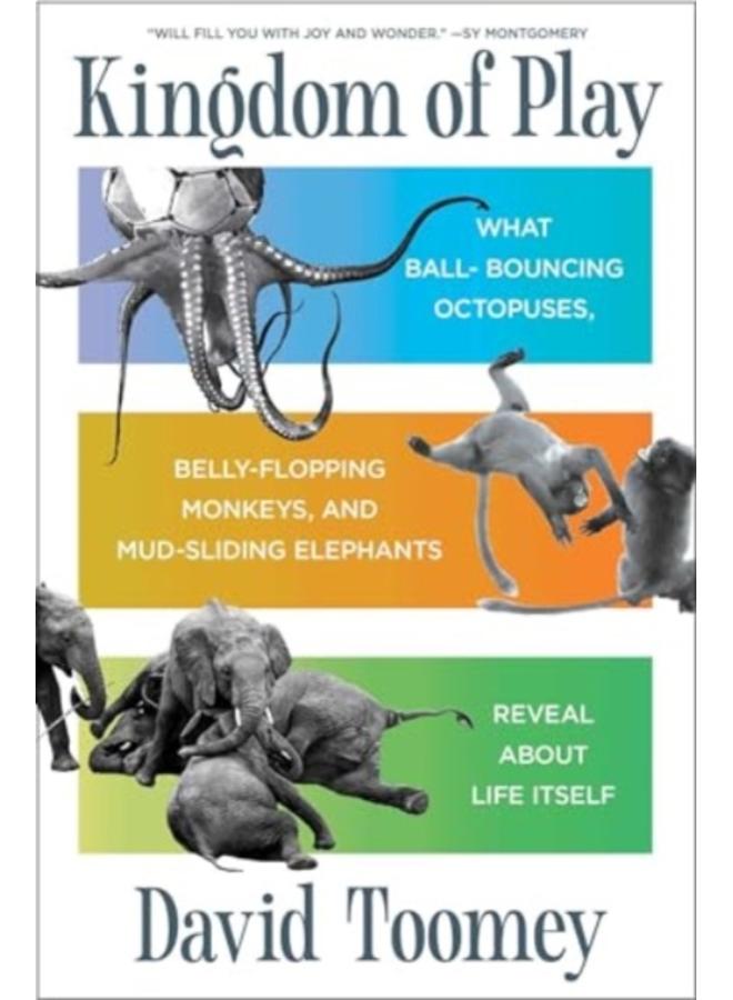 Kingdom of Play : What Ball-bouncing Octopuses, Belly-flopping Monkeys, and Mud-sliding Elephants Reveal about Life Itself 