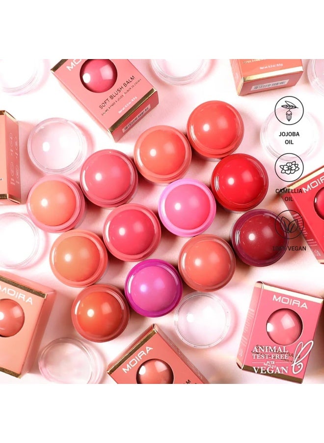 Xlear XyloSweet Plant Sourced Sweetener 5 lbs (2.27 kg) - Image 2