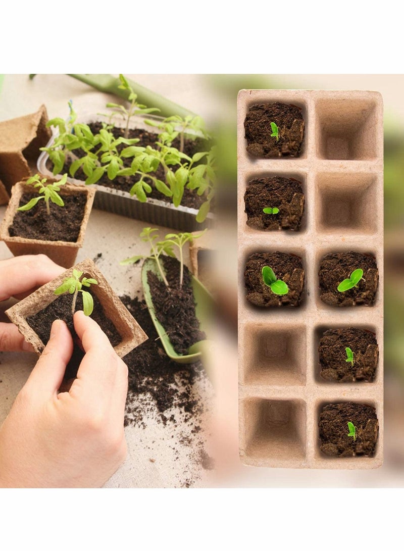 SYOSI 12 Pack Biodegradable Seedling Starter Trays Home Peat Pots with 20 Pcs Plant Labels Eco Friendly Seedling Germination Trays for Vegetable Fruit Gardens and Greenhouses 1 pair of seedlings  - Image 3