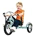 Schwinn Roadster Bike for Toddler Kids Classic Tricycle Low Positioned Steel Trike Frame with Bell and Handlebar Tassels Rear Deck Made of Genuine Wood for Boys and Girls Ages 24 Year Old Teal - Image 4