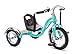 Schwinn Roadster Bike for Toddler Kids Classic Tricycle Low Positioned Steel Trike Frame with Bell and Handlebar Tassels Rear Deck Made of Genuine Wood for Boys and Girls Ages 24 Year Old Teal - Image 3