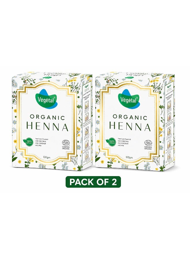 Vegetal Certified Organic And Herbal Henna Powder 100G Twin Pack - Image 1