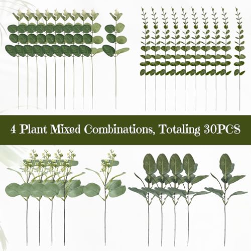Holyenten 30 Pcs Eucalyptus Stems Bulk, 4 Kinds Mixed Artificial Silver Dollar Eucalyptus Greenery Branches for Wedding Centerpieces, Floral Arrangements, Vase Bouquet Home Decor - Image 4