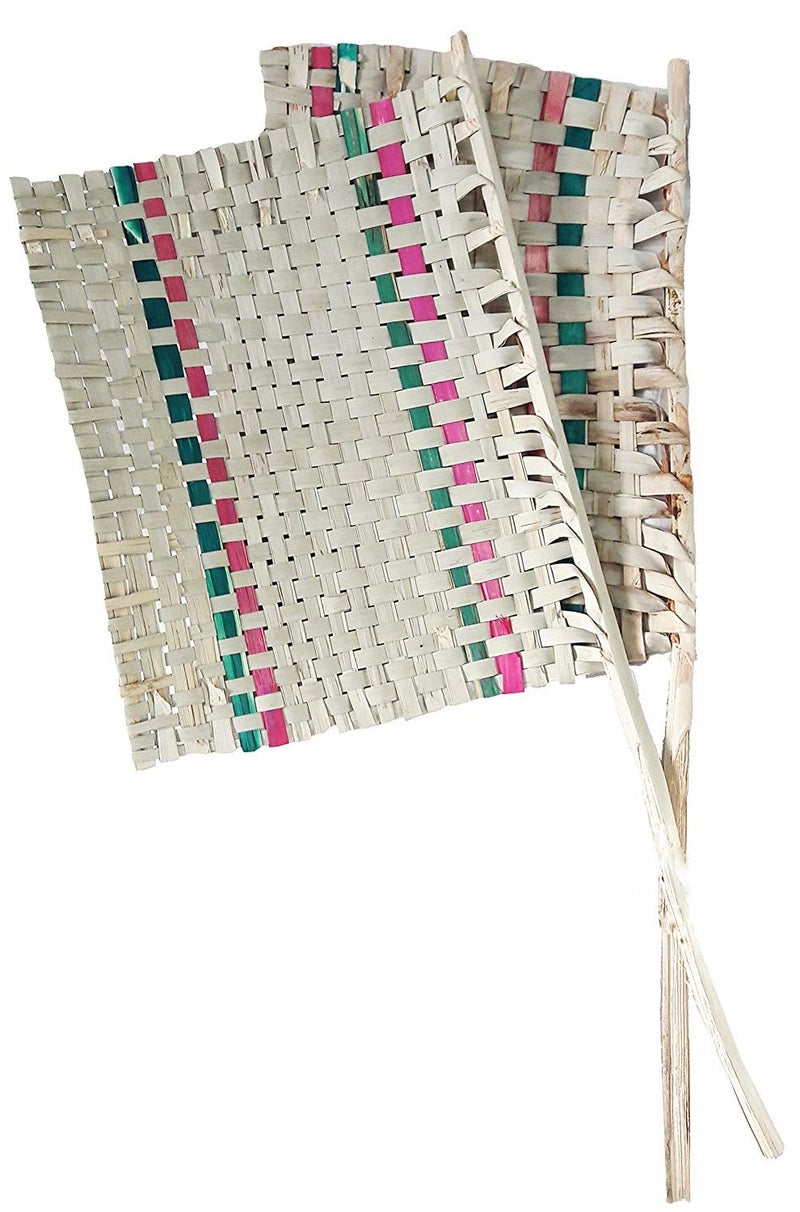 Truvic Hand Crafted Rare Natural Hand Fan PANKHI Set of 2