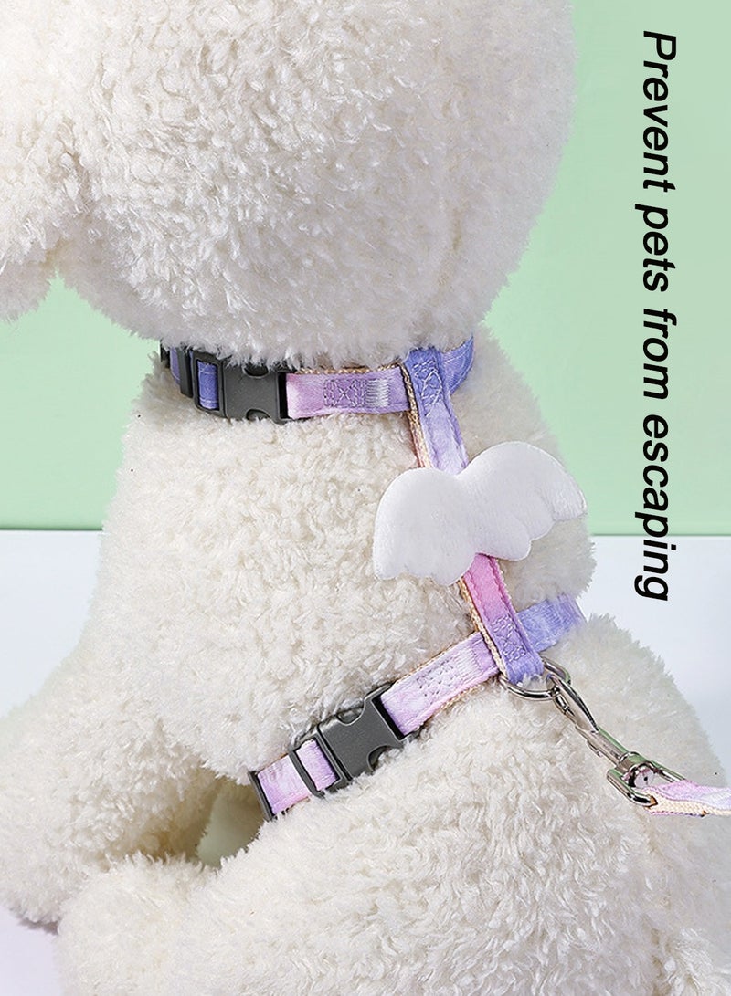 كيدل الأبحاث المتعلقة ب القط المشي حزام من الجلد - Image 5