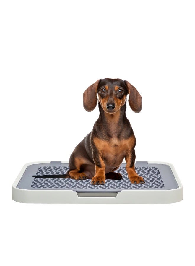 NNC PETS Dog toilet with Detachable grid pads holder, Handle design, and Non-slip base, Pet training tray for Small to medium dogs, Ideal for Indoor/Outdoor use, 50 cm (White) - Image 1