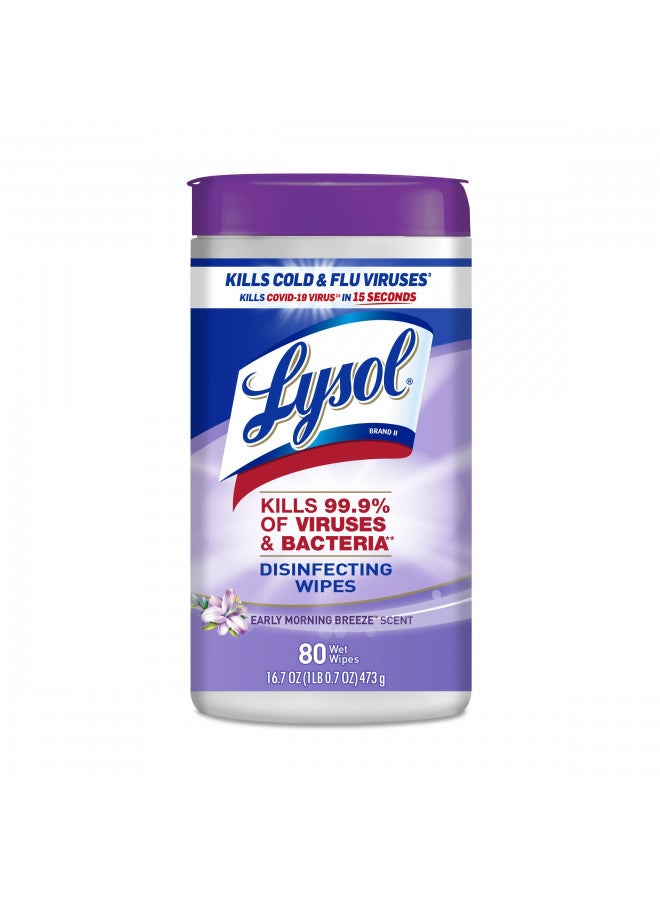 Lysol مناديل مطهرة من لايسول، مناديل تنظيف مضادة للبكتيريا متعددة الأسطح، للتعقيم والتنظيف، نسيم الصباح الباكر، 80 قطعة (عبوة واحدة) - Image 2