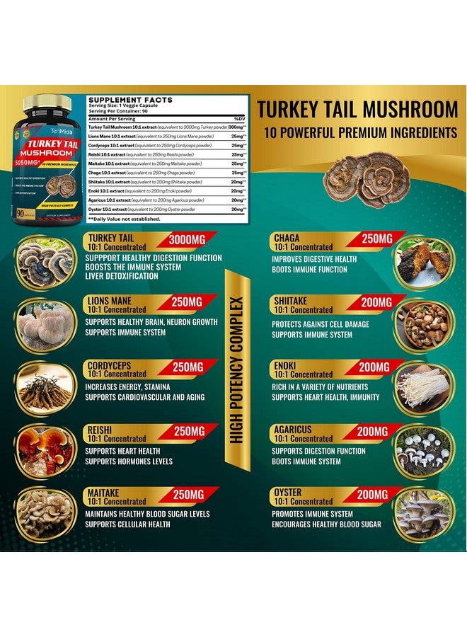 Tenmido Turkey Tail Mushroom Extract 5050Mg With Lions Mane Cordyceps Reishi And More 10 Herbs In 1 ; Digestive Function Supports Immune System 3 Months Supply - Image 4
