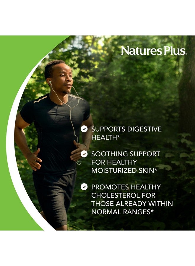 NaturesPlus Natures Plus Lecithin Granules - 95% Soy Phosphatides, 12 oz - Lecithin Powder Supplement, Pleasant-Tasting, Oil-Free - Vegetarian, Gluten-Free - 45 Servings - Image 4