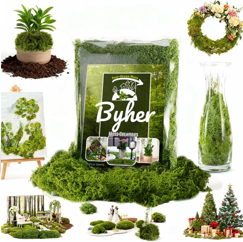 BYHER طحلب اصطناعي للحرف اليدوية – 3.5 أونصة طحلب اصطناعي رقيق يشبه السحاب للنباتات المنزلية في الأصص وحدائق الجنيات – بديل واقعي للطحلب الأخضر للتراريوم، المشاهد المصغرة، النماذج (أخضر غامق) - Image 2
