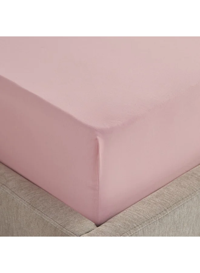 Home Box Essential Cotton Twin Fitted Sheet 120 x 200 x 36 cm