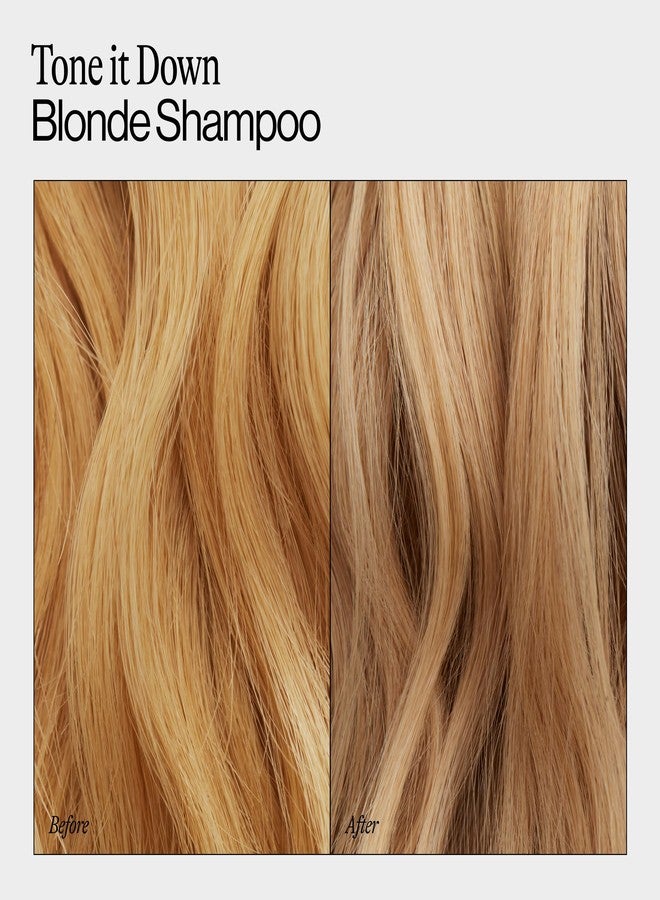 Eva NYC Purple Shampoo for Toning Blonde Hair - Gentle Formula for Blonde, Gray + Lightened Hair - Add Shine + Soften - Anti-Brass Formula for Salon Results - Ginger Rose Scent - Value Size 31 fl oz - Image 2