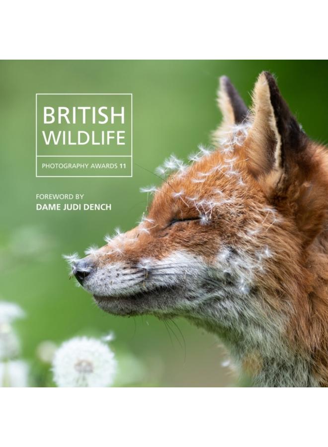 British Wildlife Photography Awards 2023 
