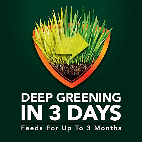 Scotts Green Max Lawn FoodFL, Lawn Fertilizer Plus Iron Supplement for Greener Grass, 5,000 sq. ft., 15.15 lbs. - Image 4