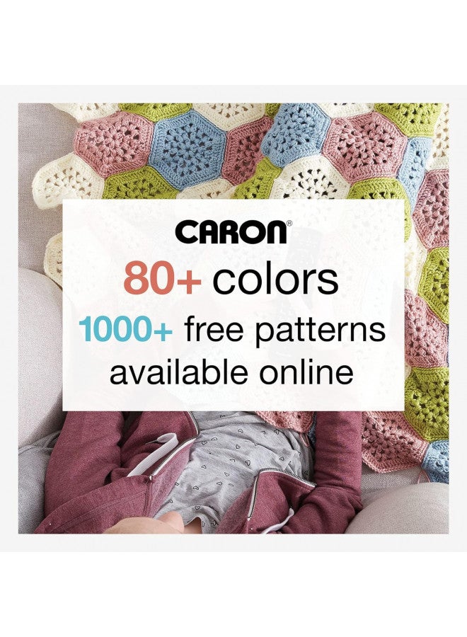 CARON Simply Soft Yarn -Light Country Peach - Image 5