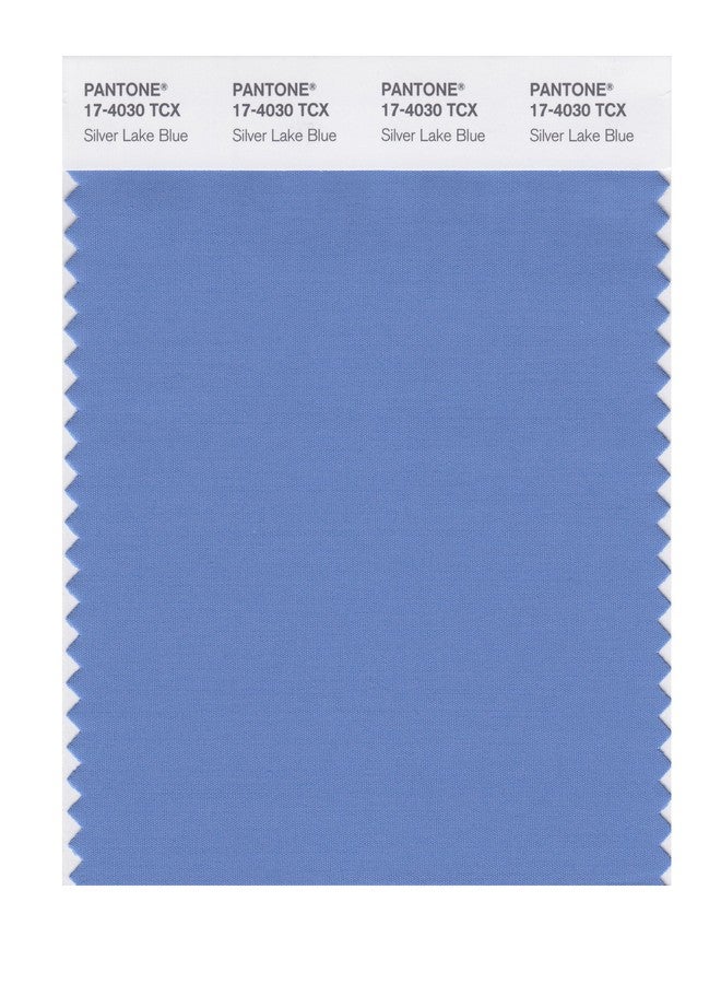 PANTONE Smart 17-4030X Color Swatch Card, Silver Lake Blue - Image 1