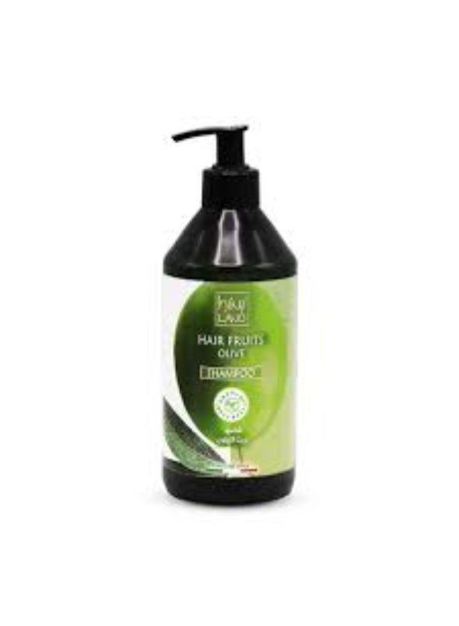 Olive Oil Shampoo - 500 ml