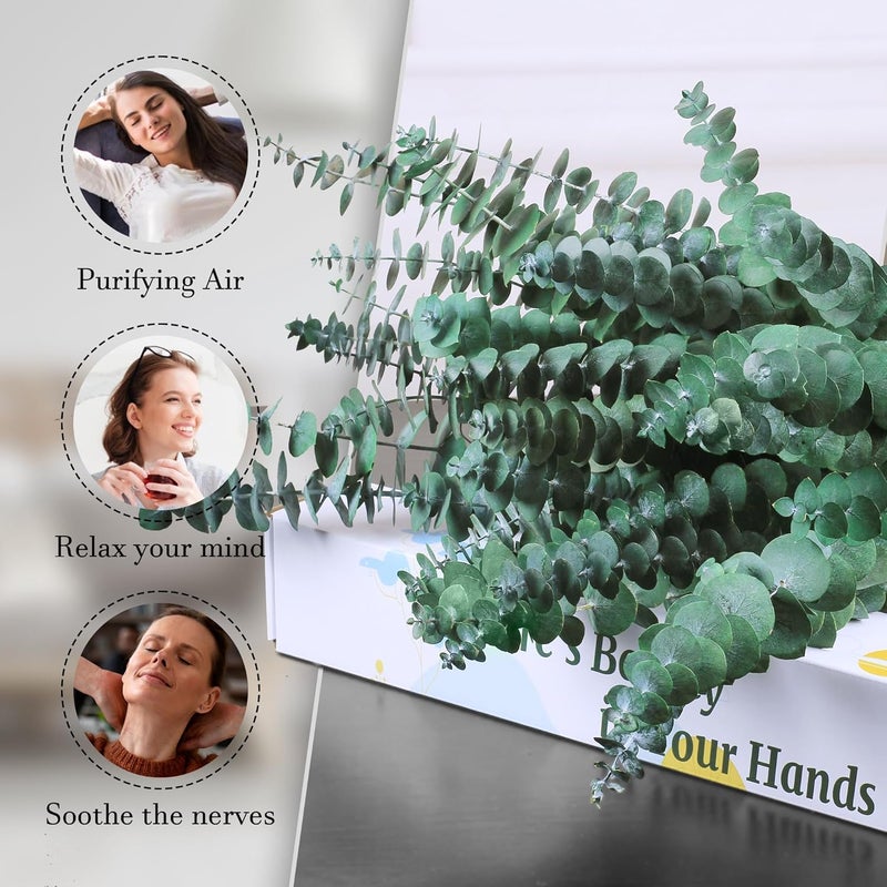 Oning 30Pcs Dried Eucalyptus Stems, 17" Real Preserved Eucalyptus Plant for Shower, Fresh Natural Branches for Vase, Eucalyptus Bundle for Home Decor, Wedding, Baby Shower, Bathroom - Image 3