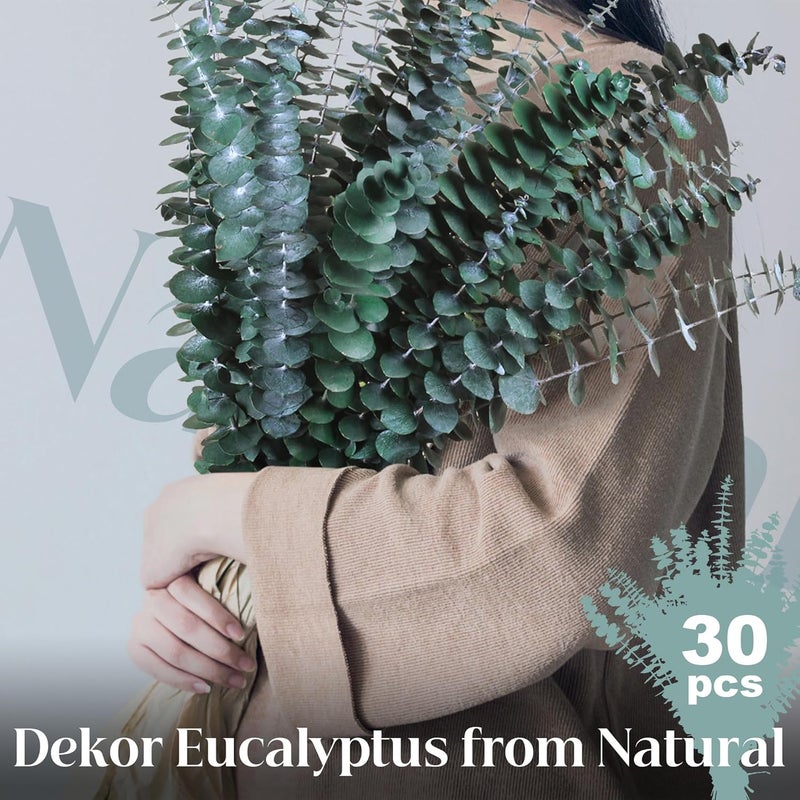 Oning 30Pcs Dried Eucalyptus Stems, 17" Real Preserved Eucalyptus Plant for Shower, Fresh Natural Branches for Vase, Eucalyptus Bundle for Home Decor, Wedding, Baby Shower, Bathroom - Image 2